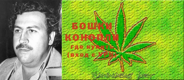 марки nbome Каменка