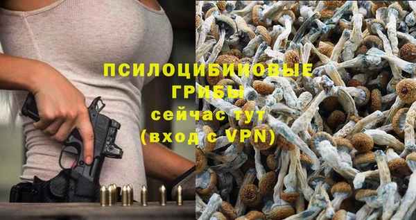 мяу мяу мука Каменск-Шахтинский