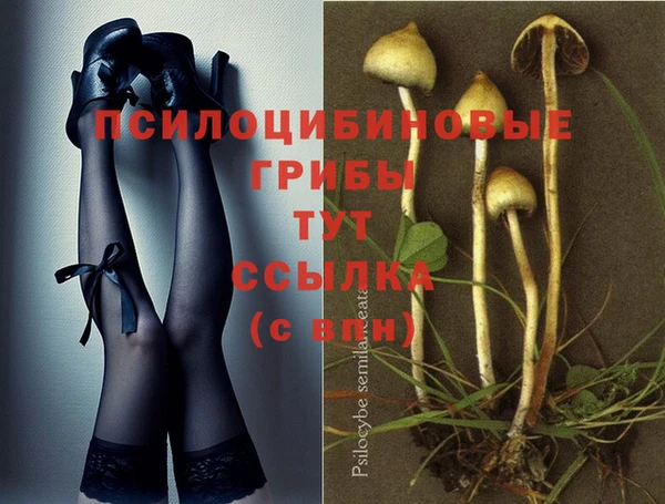 марки nbome Каменка